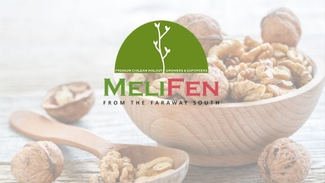 Melifen